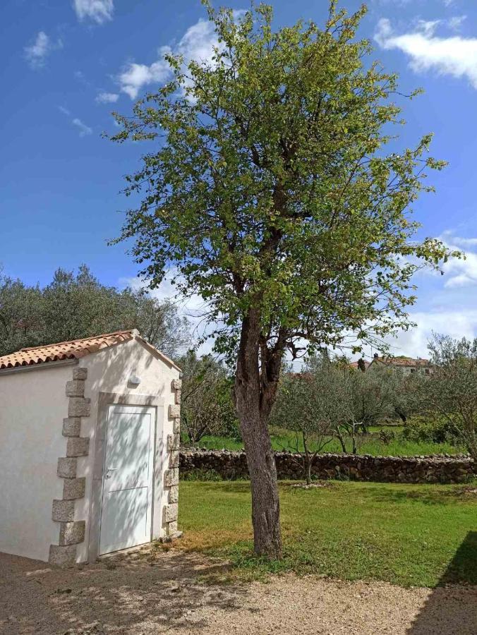 Holiday House Vela Vrta Sveti Ivan Dobrinjski ภายนอก รูปภาพ